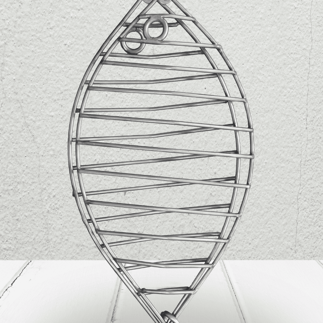 Accesorio De Pescado